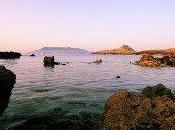 obiettivo grandangolare mano fare!