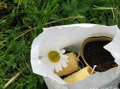 pomeriggio tregua agriturismo