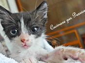 questi giorni giardino riservato delle piacevoli sorprese…