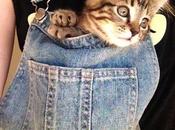 Overalls