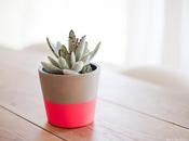 Neon pots aspettando l'estate