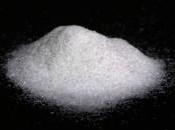 Cinque sensi cinque gusti: l’umami