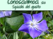 Conosciamoci su...Spicchi Gusto Make Corner...due iniziative promuovere proprio blog conoscerne nuovi