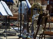 Gerbera Gialla: foto video concerto Duomo