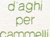 Crune d’aghi cammelli: intervista Maria Silvia Avanzato (Fazi-Le Meraviglie)