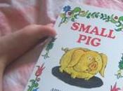 “Small pig” insegno leggere inglese?