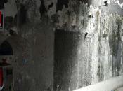 Sapete cos'e' questo? provate indovinare... cunicolo fogna? l'ingresso pisciatoio pubblico? naaa, siete lontanissimi...