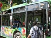 proteste piazza Taksim complottismo all’italiana