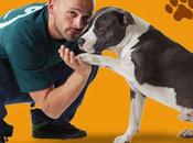 stasera ogni lunedì alle 20.30 DeAKids (Canale 601) quinta stagione programma “Missione Cuccioli”