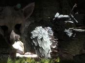 sviluppo Last Guardian pausa", dice Jack Tretton Notizia