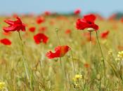 Finalmente estate!!!!!!!!!!!