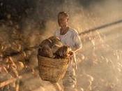 Sotto lente luce rende eccezionale scena umile