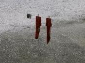 Tema: Elementi calcolo delle probabilità