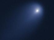 ISON update: destino incerto della Cometa Secolo