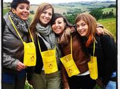 CANTINE APERTE 2013 Vini della Vallesina