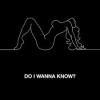 Arctic Monkeys Wanna Know? Video Testo Traduzione