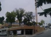 Morta prima delle quattro querce secolari Campo Boario