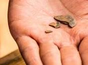 Sulle tracce primi abitanti dell'Alaska