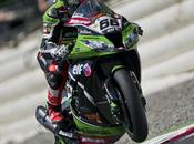 Photo #433 Sykes 2013