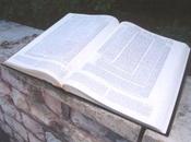 Donne Halacha