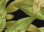 Pitti Uomo trends reportage: Tropical flowers.