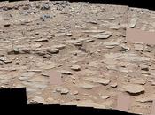 frammento chiaro ripreso dalla MastCam Curiosity sulla strada Shaler