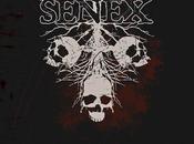 DEMENTIA SENEX, Heartworm