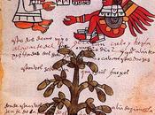 origini cioccolato sono molto antiche vengono abitualmente fatte risalire periodo Maya.