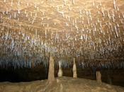 Commenti FACCIA NASCOSTA PIANETA TERRA cura Prof. Badino Carlo Catalano