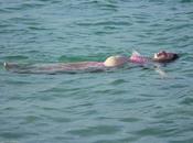 mare