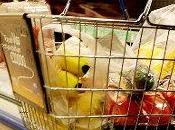 Frodi alimentari: paura degli italiani