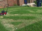 medodo efficace avere super-prato