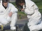 Giulio Caria principale sospettato dell’omicidio Silvia Caria?