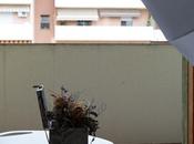 Come creare nulla sfondo nero foto… usando flash