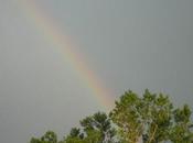 CORRETE: C’E’ L’ARCOBALENO!!! dopo un...