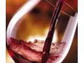 Puglia terra vino. World Wine Travel Destinations 2013 tutti risultati