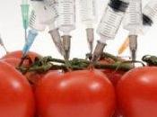 Greenpeace davanti Ministero della Salute: 'fermare OGM'