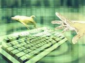 Nigeria /Chiusura delle scuole nello Stato Yobe