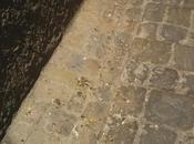 Minzoni, Garibaldi, Palestro: Triangolo Piccione