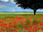 Milan Kundera, L’insostenibile leggerezza dell'essere