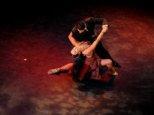 Campionati Europei Tango 2013, spettacolo finale stasera