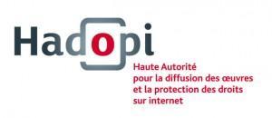 Francia: Hadopi fallisce, pirati restano online