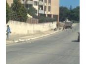 Menfi, accordo l’Esa. “Così puliremo strade”