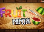 Fruit Ninja computer Windows Download istruzioni gioco