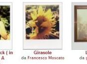 Foto della settimana