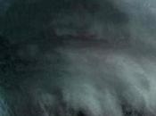 Eco-Mezzi Alternativi