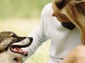 Assicurazione animali: ecco come procedere