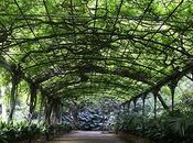 giardino botanico Concezione Malaga