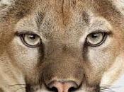 Apple rilascia build 12F23 10.8.5