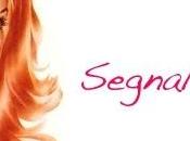 Segnalazioni: All'ombra fiori Jacaranda